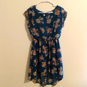 Lush Small Blue and Brown Floral Dress